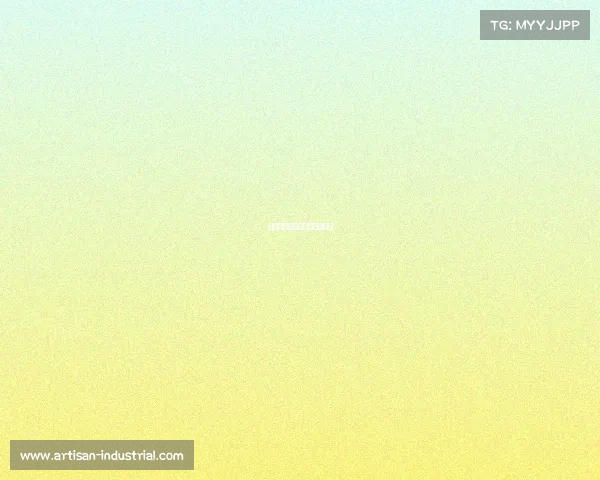 《电子竞技没有直播》言朝暮